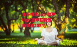 东升棋牌app-德甲liga(德甲联赛最新赛程2024)