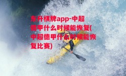 东升棋牌app-中超德甲什么时候能恢复(中超德甲什么时候能恢复比赛)